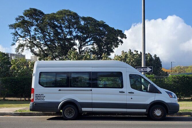 Round Trip North Shore Shuttle from Waikiki to Haleiwa Town / Haleiwa Harbor - Who Should Book This Tour?