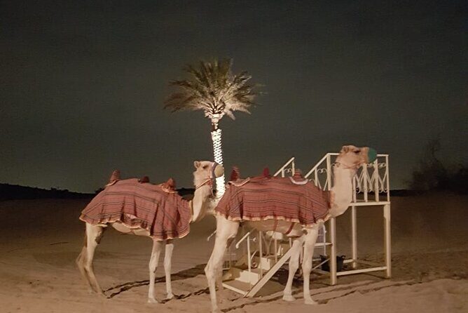 Royal Fortress Fine Dining Desert Safari - The Sum Up: Who Is This Tour Best For?