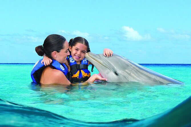 Royal Garragon with Dolphin Encounter in Isla Mujeres - The Itinerary in Detail