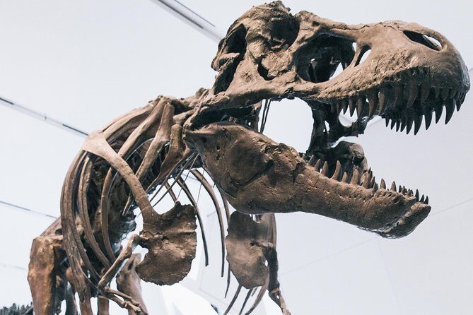 Royal Ontario Museum Admission - Who Should Visit?