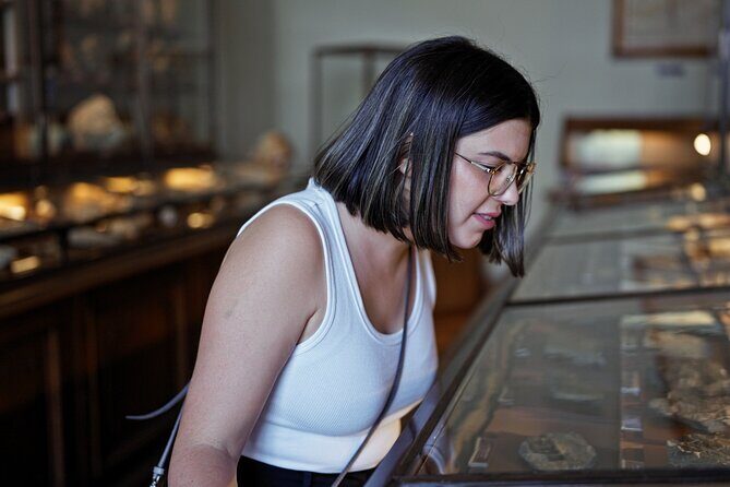Royal Ontario Museum Toronto Tour with Skip-the-Line Tickets - Why Choose This Tour?