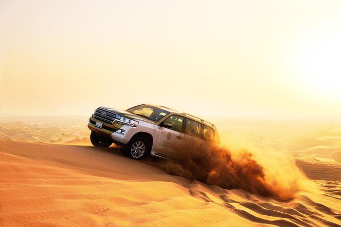 Royal Private Desert Safari - Exclusive SUV - What Activities Truly Stand Out