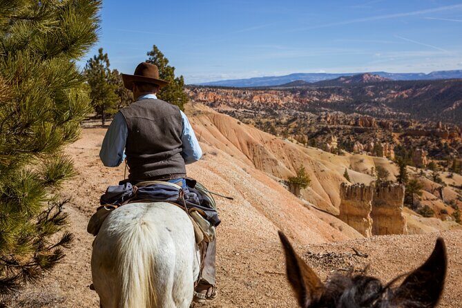 Ruby's Horseback Adventures Utah 1.5 Hour Ride - The Price and Value