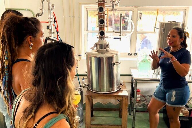 Rum and Gin at Cozumel First Distillery - Price and Duration