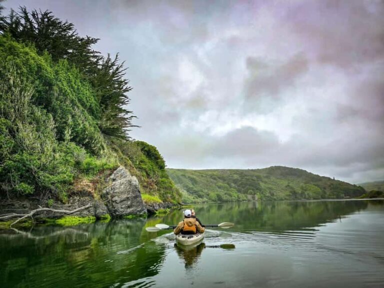 Russian River: Kayak Tour - Why This Tour Stands Out