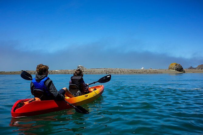Russian River Kayak Tour at the Beautiful Sonoma Coast - Final Thoughts: Who Will Love This Tour?