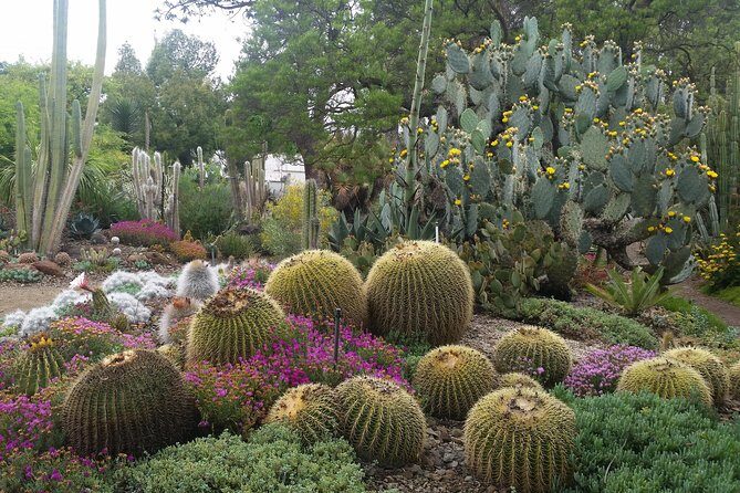 Ruth Bancroft Garden General Admission Ticket - Who Will Love this Garden?