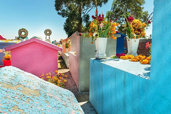 Sacred Souls: Dia de los Muertos Cultural Tour - The Itinerary in Detail