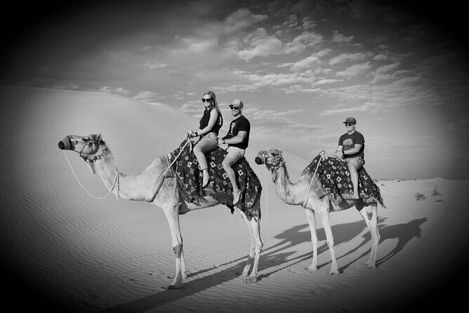 Safari Half-Day Adventure from Abu Dhabi - Practical Details to Consider