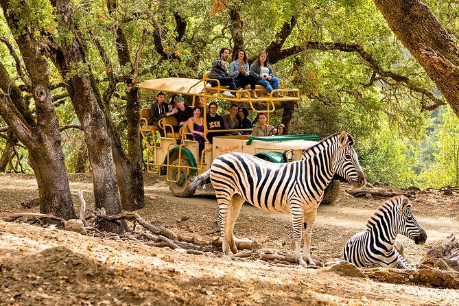 Safari West Sonoma Adventure Tour - What Makes Safari West Stand Out