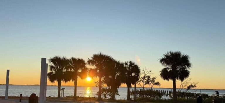 Safety Harbor: Food and Drink Tour with a Local Guide - Analyzing the Value