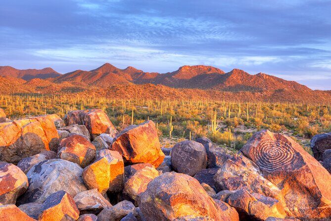 Saguaro National Park Self-Guided Audio Tour - The Sum Up