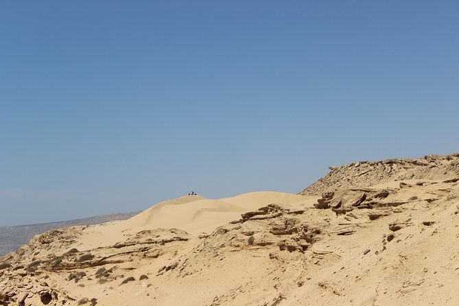 Sahara Tour : Half day trip to sahara (sand dunes ) with lunch - A Closer Look at the Itinerary
