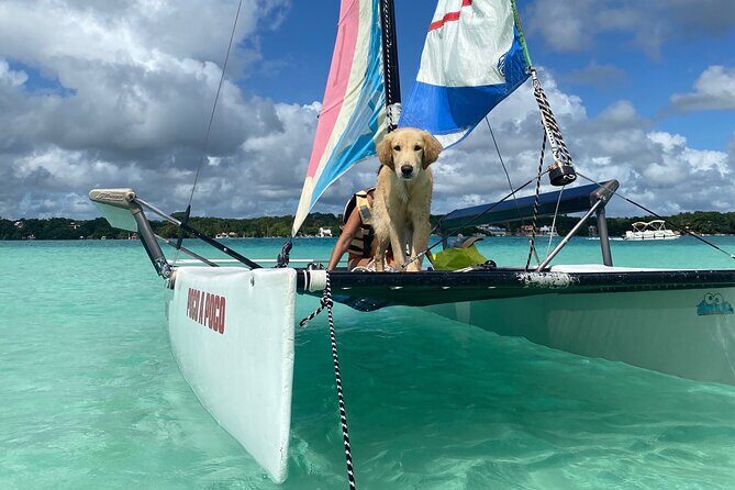 Sail away! Hobie Cat Tour Bacalar - Who Will Love This Tour?