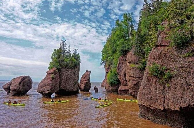 Saint John (NB) Bay of Fundy and Hopewell Rocks Private Tour - In-Depth Review of the Tour Experience