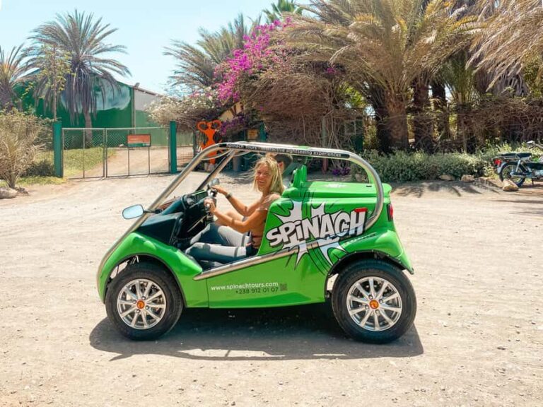 Sal Island: 2 Hour Guided Excursion on a Talking Car - The Itinerary & Key Stops