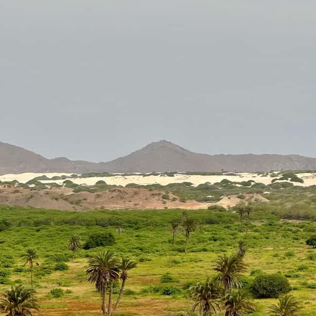 Sal Rei: Boa Vista Private Island Half-Day Tour - Why It Offers Great Value