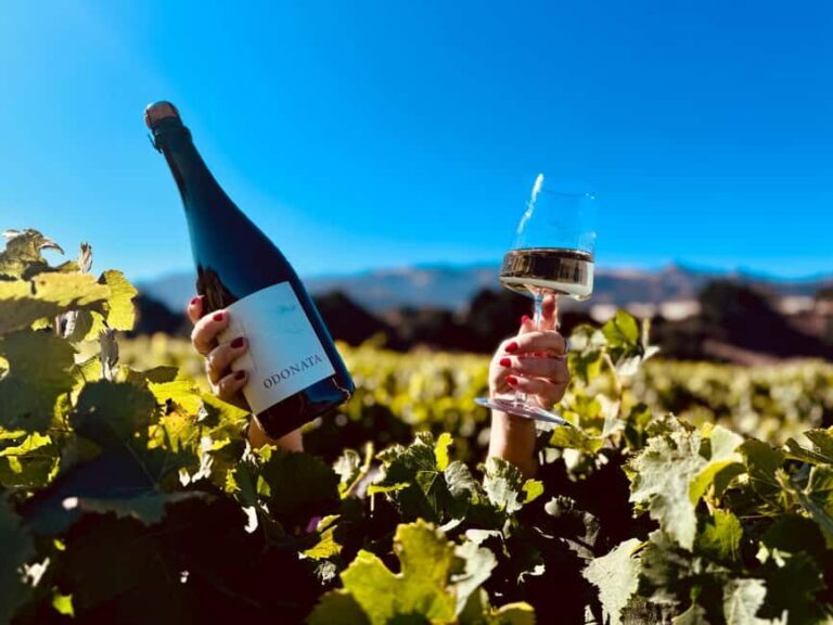 Salinas Valley, CA: Wine tasting experience - The Tasting Experience: What to Expect