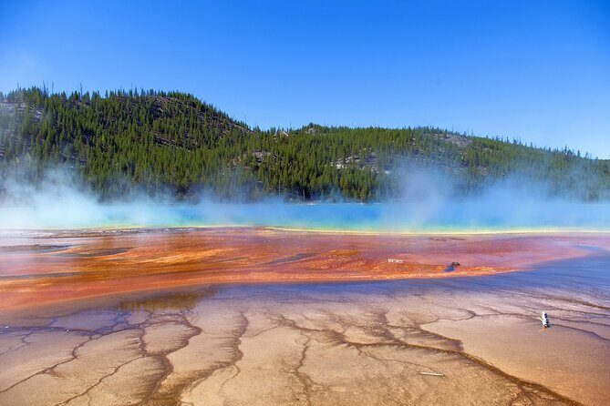 Salt Lake City Departure Yellowstone Park 3-day Panoramic Tour - Who Is This Tour Best For?