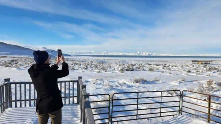 Salt Lake City: Great Salt Lake Antelope Island Guided Tour - The Experience and Logistics