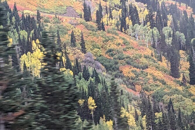 Salt Lake City's Top Guided Hiking Tour with Charcuterie board - What to Expect During the Hike