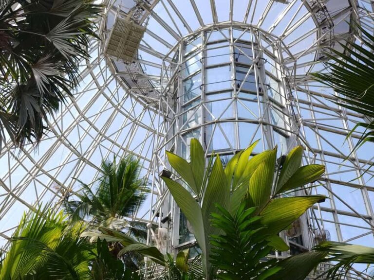 San Antonio: Botanical Garden Admission Ticket - Why Visit the San Antonio Botanical Garden?