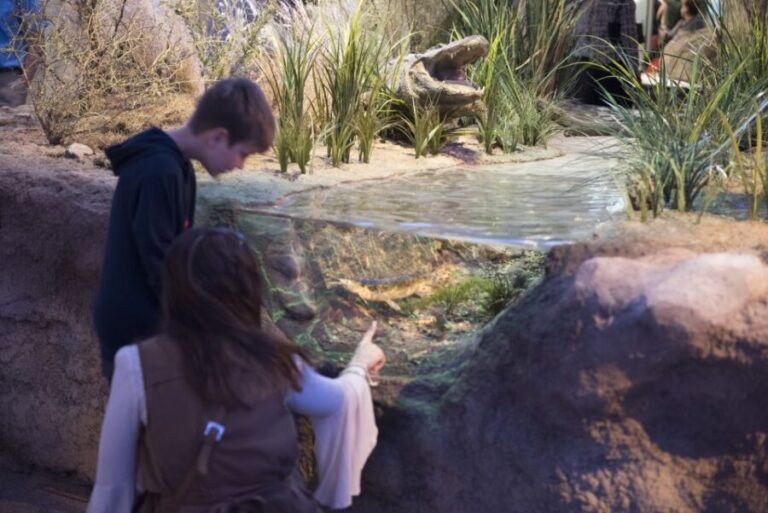 San Antonio: Witte Museum Admission Ticket - Who Should Visit?