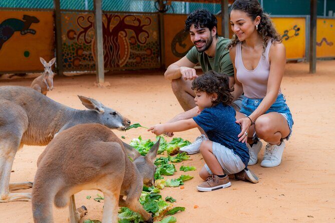 San Antonio Zoo General Admission Ticket - What the Reviews Tell Us
