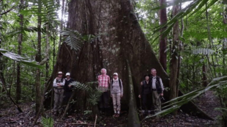 San Cristobal: 2 Days in the Southern Selva Lacandona Tour - Why This Tour Stands Out