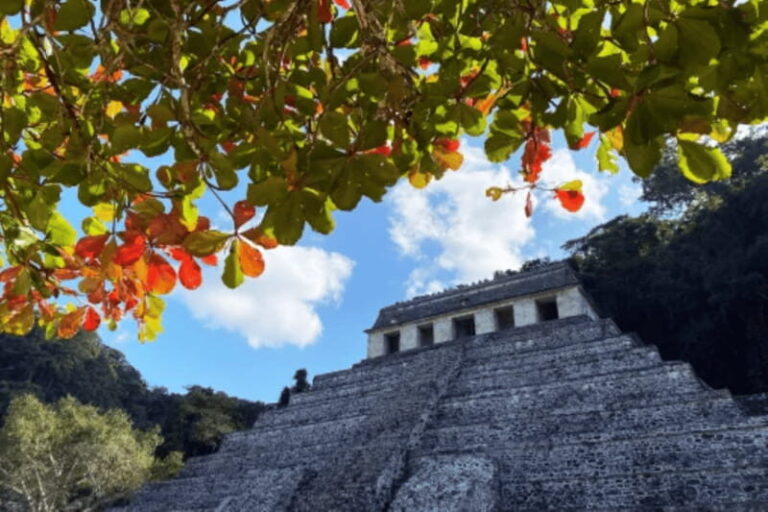 San Cristobal: 3 Days Nature Tour Southern Selva Lacandona - A Closer Look at the 3-Day Itinerary