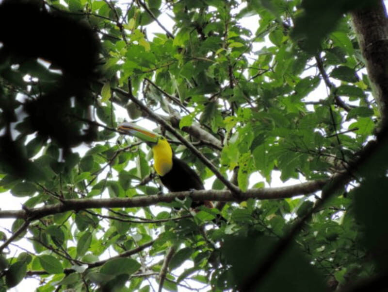 San Cristobal: 4 Days Nature Tour in the Lacandon Jungle - What Travelers Say and Why They Love It