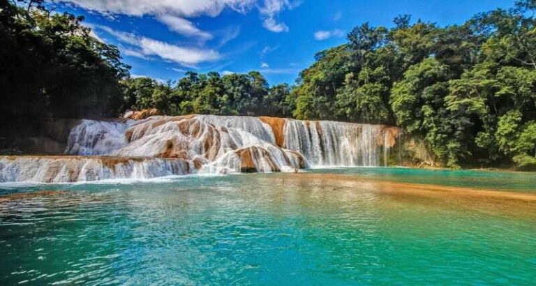 San Cristóbal: Agua Azul, Misol Ha & Palenque Experience - Authentic Experiences and Traveler Insights