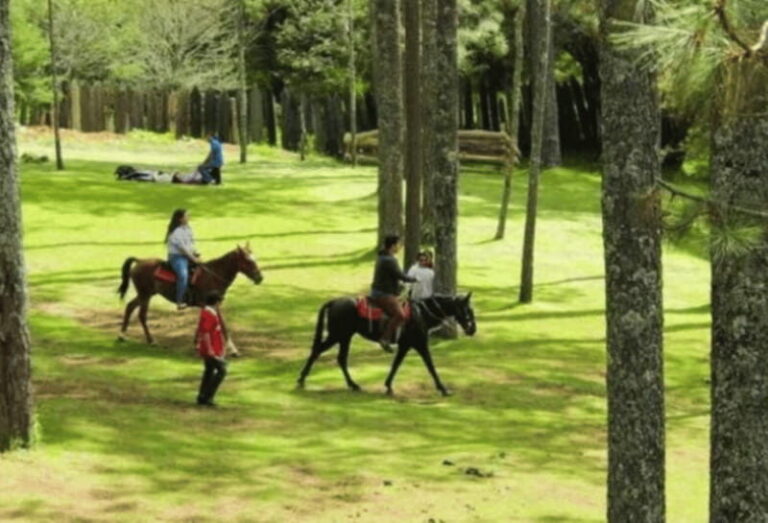 San Cristóbal: Arcotete Ecotourism Park & Rancho Nuevo Caves - Practical Details: What to Expect