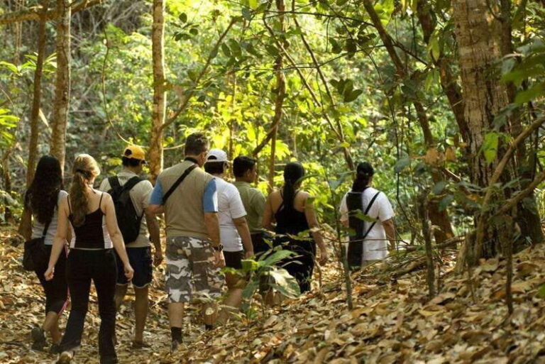 San Cristóbal: Lacandona Jungle 4 Days Tour - What’s Included and What’s Not