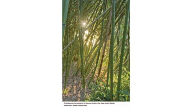 San Diego Botanical Garden Entry Ticket and Transportation - Who Will Love This Tour?