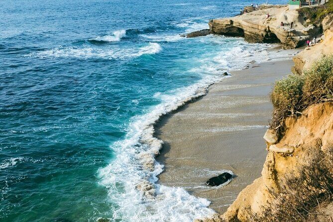 San Diego Driving Tour: Gaslamp Quarter, Balboa Park & Old Town - Authentic Insights from Past Travelers