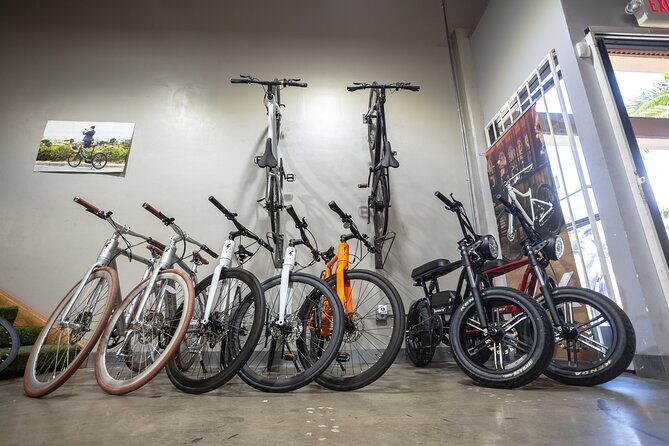 San Diego ebike Rentals - Experience California's Finest Scenery - The Ride Experience: What to Expect