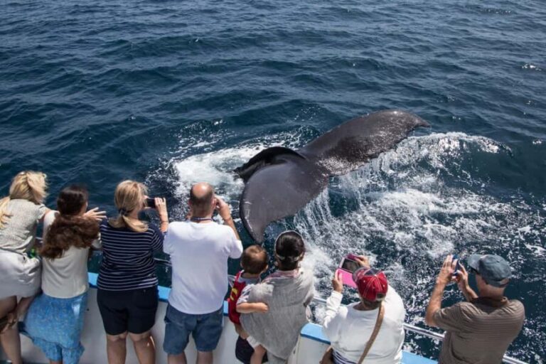 San Diego: Go City All-Inclusive Pass with 45+ Attractions - Detailed Breakdown of Popular Attractions
