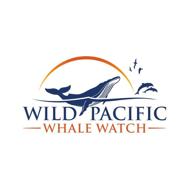 San Diego: Luxury Year-round Whale Watching & Dolphin Tour - What to Expect on Your Trip