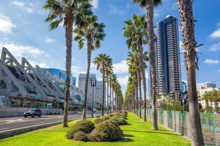 San Diego: Private custom tour with a local guide - Final Thoughts: Who Should Consider This Tour?