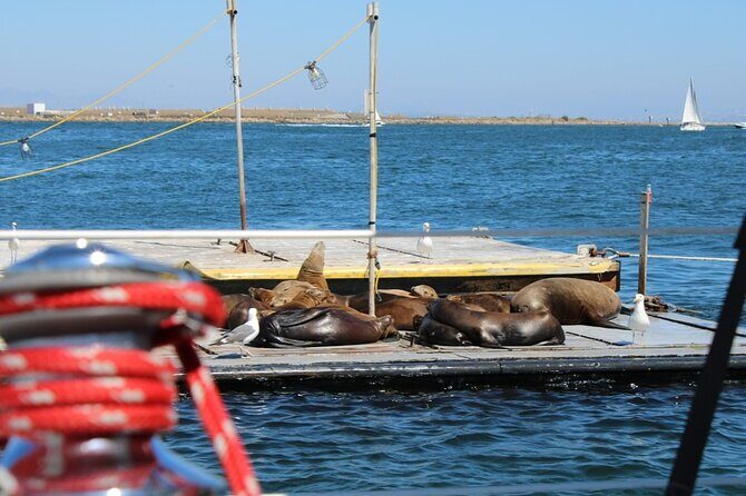San Diego Private Morning Sail up to 12 guests - Why Travelers Rave About It