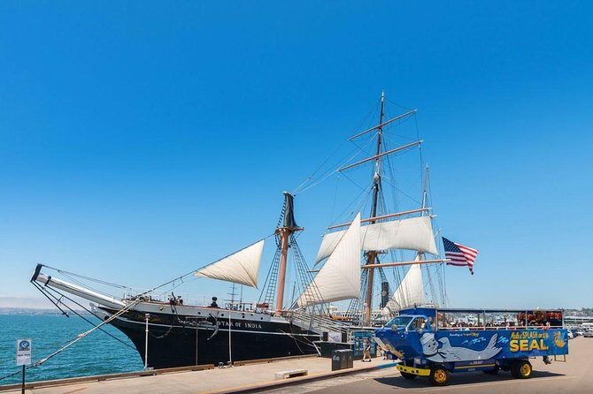San Diego Seal Tour - Authentic Experiences and What Travelers Say