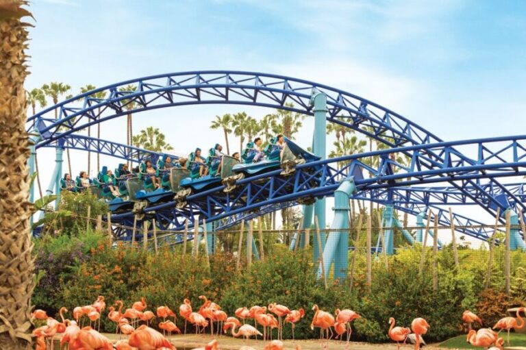 San Diego: SeaWorld Skip-the-Line Park Admission Ticket - What You Can Expect at SeaWorld San Diego