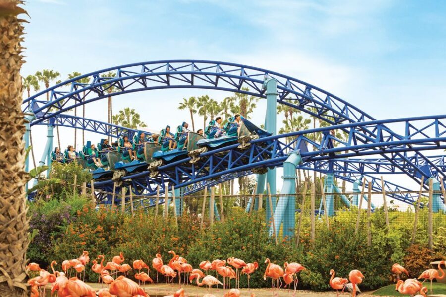 San Diego: SeaWorld Skip-the-Line Park Admission Ticket - What You Can Expect at SeaWorld San Diego