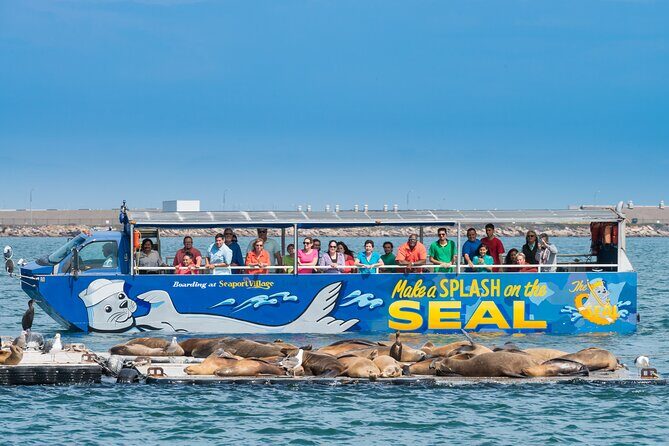 San Diego Shore Excursion: San Diego Seal Tour - Authentic Experiences & Highlights