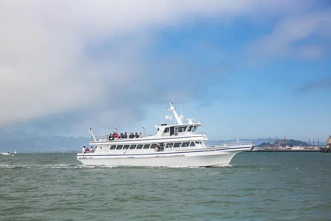 San Diego Whale/Dolphin Watching Cruise Aboard Luxury Vessel - Who Should Consider This Tour?