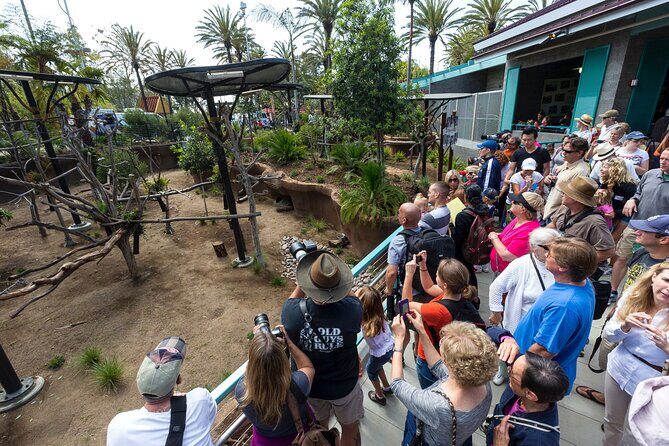 San Diego Zoo 1-Day Pass: Any Day Ticket - Practical Considerations and Final Thoughts