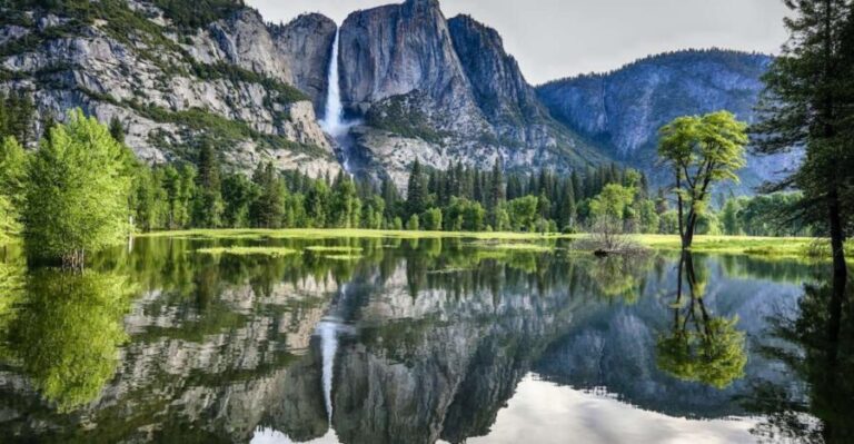 San Francisco: 2-Day National Park Tour with Yosemite Lodge - Authentic Experiences and Traveler Feedback