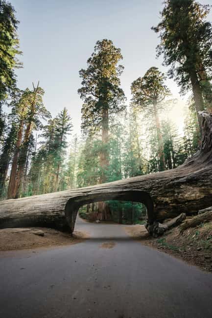 San Francisco: 2-Day Tour to Los Angeles with Parks - What’s Included and What’s Not