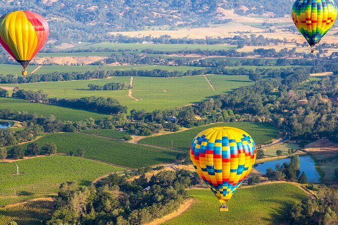San Francisco Airport Private Transfer to Napa Valley - Final Thoughts